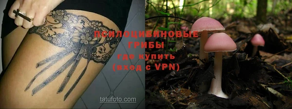 PSILOCYBIN Армянск