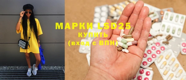 PSILOCYBIN Армянск