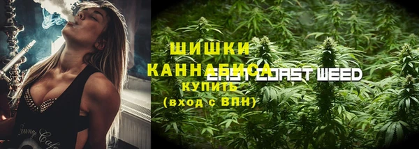 PSILOCYBIN Армянск