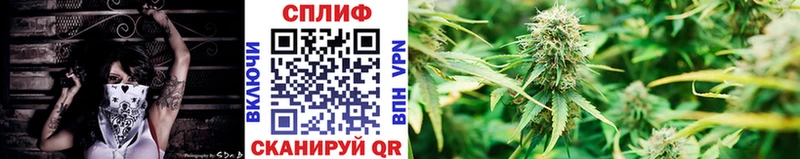 Купить закладки  Новоульяновск  Каннабис Amnesia 